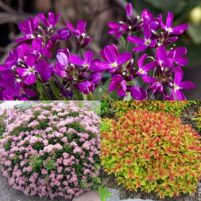 Комплект ЯПОНСКИЙ САД в Семее