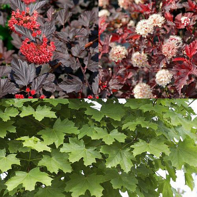 Комплект ОСЕННИЙ КОСТЕР в Семее