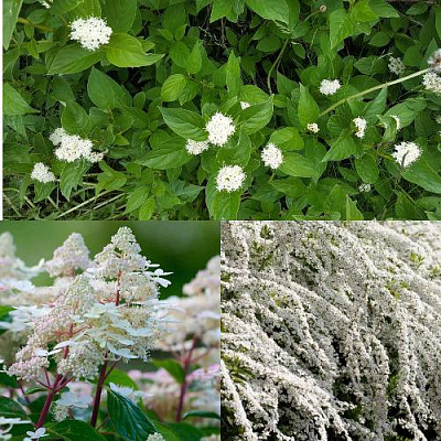 Комплект СКАНДИНАВСКИЙ СТИЛЬ в Семее