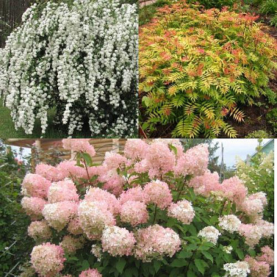 Комплект ФЕЙЕРВЕРК ЛЕТА в Семее