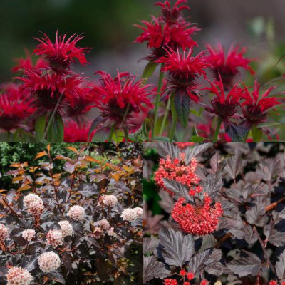 Комплект ОГНЕННЫЙ МИКС в Семее