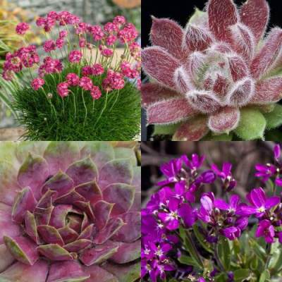 Комплект МИНИ САД в Семее