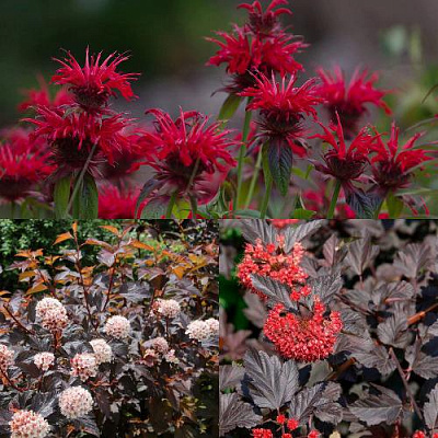 Комплект ОГНЕННЫЙ МИКС в Семее